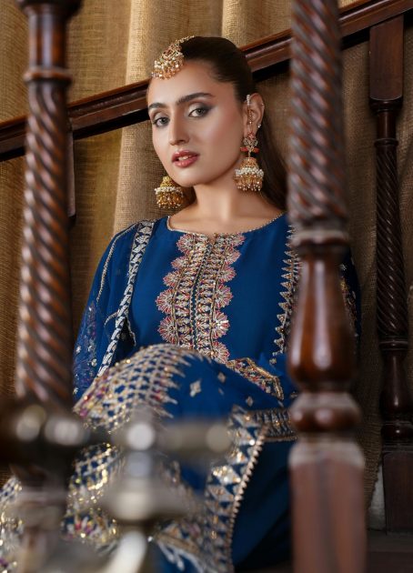 pexels-dhanno-29460596